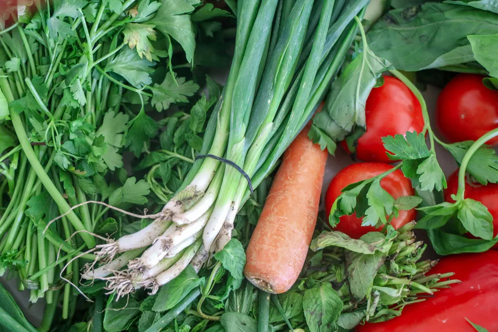onions, carrots, radishes